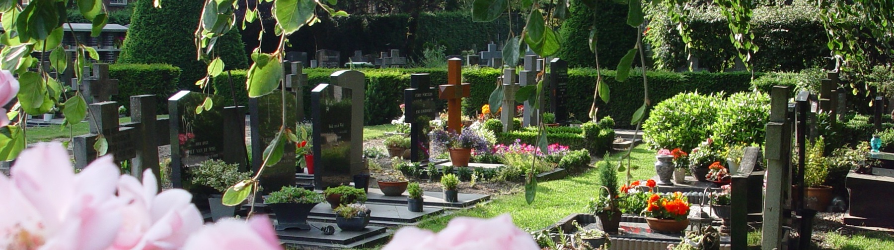 headerfoto-begraafplaats SPB